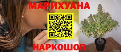 винт Славгород