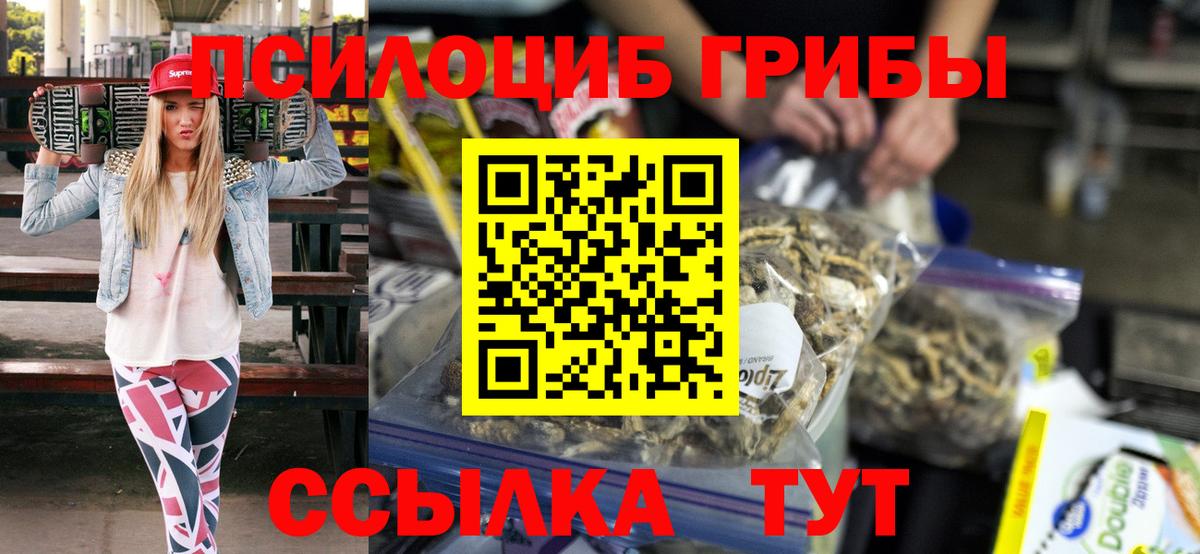 Псилоцибиновые грибы Psilocybe  Вход с VPN  Осинники  Псилоцибиновые грибы MAGIC MUSHROOMS 