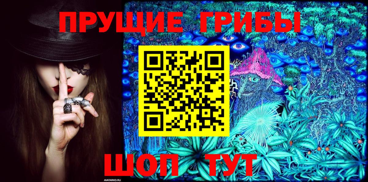 Псилоцибиновые грибы Cubensis Осинники